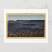 Uitzicht van het meer van de noordelijke Shores Briefkaart (Voorkant)