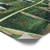 Uitzicht van het meer van de Shore Poster (Hoek)