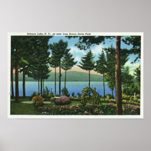 Uitzicht van het meer van het Brown Swan Park Poster (Voorkant)