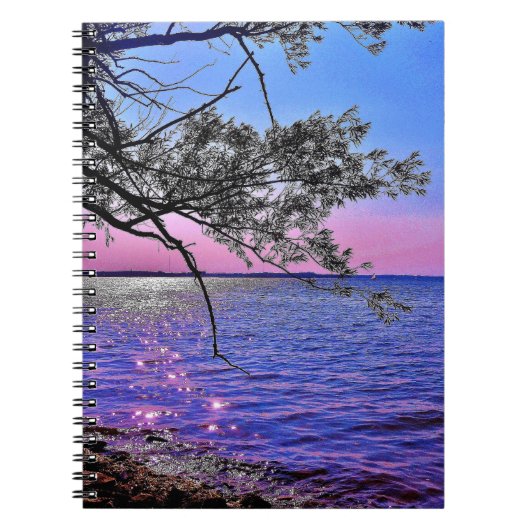 Uitzicht van het meer van Mendota Notitieboek (Voorkant)