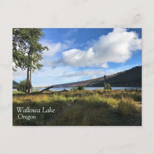 Uitzicht van het meer van Wallowa, Oregon Briefkaart (Voorkant)