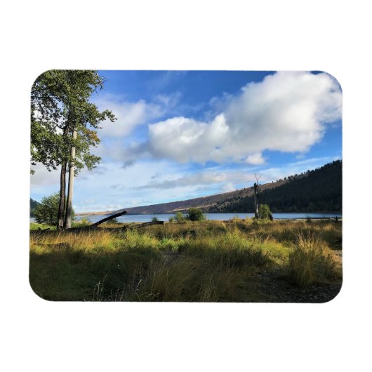 Uitzicht van het meer van Wallowa, Oregon Magneet (Horizontaal)