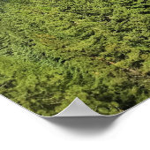 Uitzicht van het meer van Wallowa, Oregon Poster (Hoek)