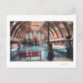 Uitzicht van het NatatoriumBoise, ID Briefkaart (Voorkant)