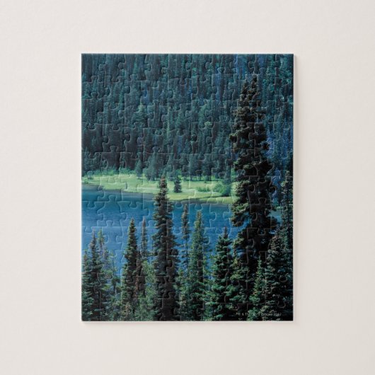 Uitzicht van het nationaal park van Grand Teton, Legpuzzel (Verticaal)