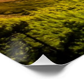 Uitzicht van het Nationaal Park Yosemite Poster (Hoek)