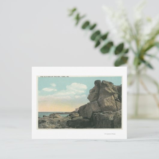 Uitzicht van het Oude Man van het Zee Rock Formati Briefkaart (Staand voorkant)