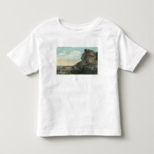Uitzicht van het Oude Man van het Zee Rock Formati Kinder Shirts