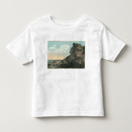 Uitzicht van het Oude Man van het Zee Rock Formati Kinder Shirts (Voorkant)