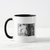 Uitzicht van het Paradise-kamp en Mt Rainier Mok (Links)