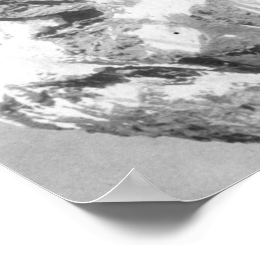 Uitzicht van het Paradise-kamp en Mt Rainier Poster (Hoek)