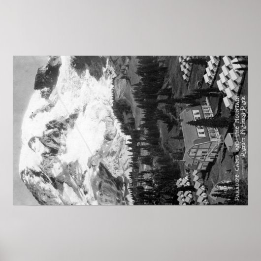 Uitzicht van het Paradise-kamp en Mt Rainier Poster (Voorkant)