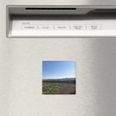 Uitzicht van het Park van Castaways, Krankel Newpo Magneet (Insitu (Vaatwasser))