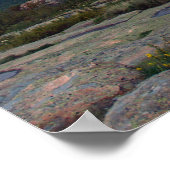 Uitzicht van het Poster van het Cadillac-gebergte (Hoek)