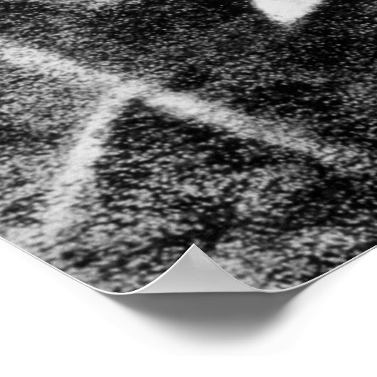 Uitzicht van het raam bij Le Gras Poster (Hoek)