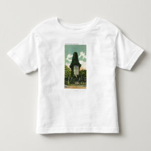 Uitzicht van het soldatenmonument kinder shirts