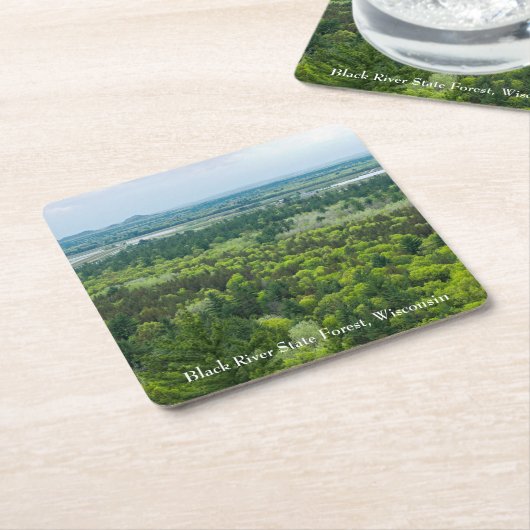 Uitzicht van het staatsbos van de Zwarte rivier Kartonnen Onderzetters (Schuin)