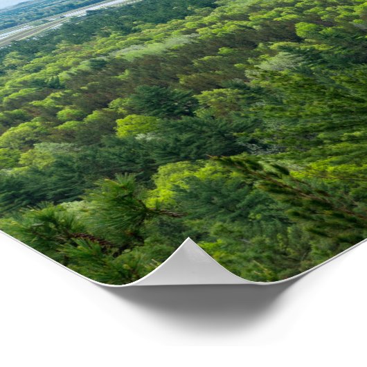 Uitzicht van het staatsbos van de Zwarte rivier Poster (Hoek)