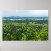 Uitzicht van het staatsbos van de Zwarte rivier Poster (Voorkant)