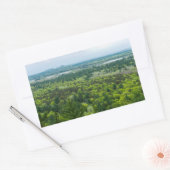 Uitzicht van het staatsbos van de Zwarte rivier Rechthoekige Sticker (Envelop)