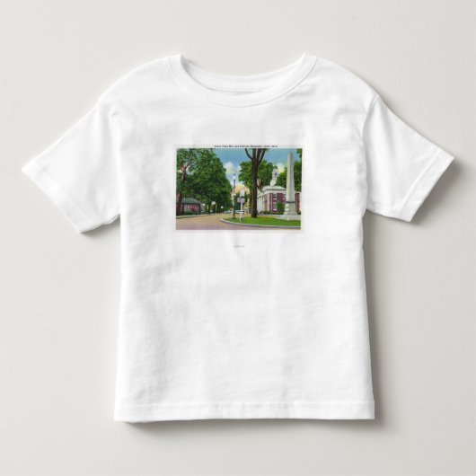 Uitzicht van het stadhuis en het monument van Pate Kinder Shirts (Voorkant)