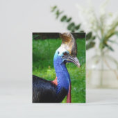 Uitzicht van het stakingsprofiel van het Cassuaire Briefkaart (Staand voorkant)