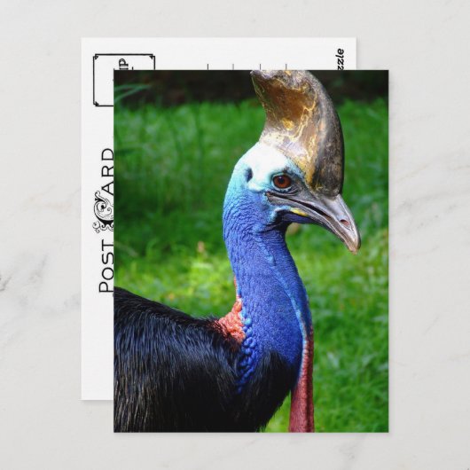 Uitzicht van het stakingsprofiel van het Cassuaire Briefkaart (Voorkant / Achterkant)