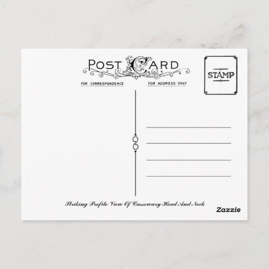 Uitzicht van het stakingsprofiel van het Cassuaire Briefkaart (Achterkant)