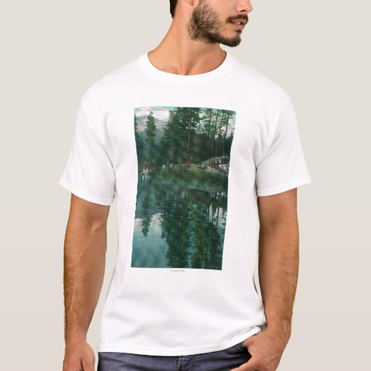 Uitzicht van het Stella LakeWawona, CA T-shirt (Voorkant)