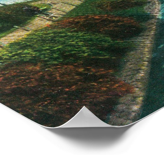 Uitzicht van het Stowe-meer in Golden Gate Park Poster (Hoek)