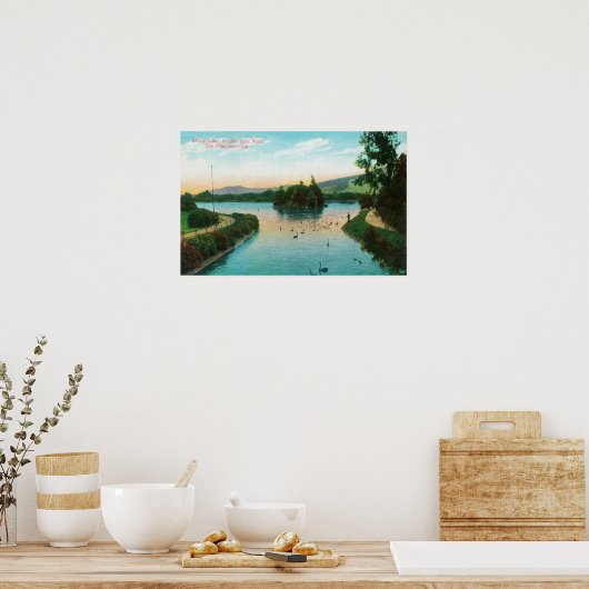 Uitzicht van het Stowe-meer in Golden Gate Park Poster (Keuken)
