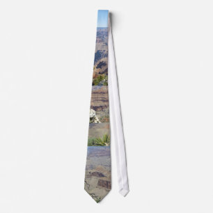 Uitzicht van het Stropdas Grand Canyon