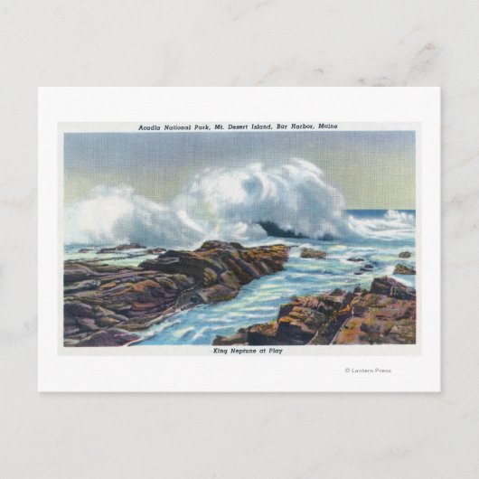 Uitzicht van het Surf Briefkaart (Voorkant)