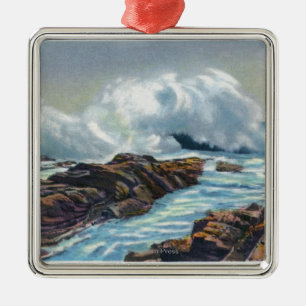 Uitzicht van het Surf Metalen Ornament
