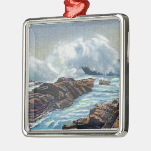 Uitzicht van het Surf Metalen Ornament (Links)