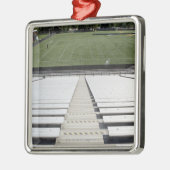 Uitzicht van het veld football van lege bleekmidde metalen ornament (Links)
