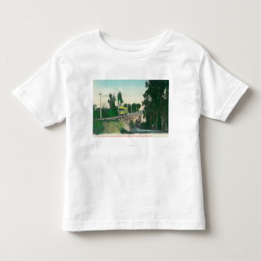 Uitzicht van het Verdrag betreffende de interstede Kinder Shirts (Voorkant)