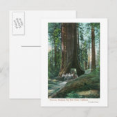 Uitzicht van het vervoer van paarden onder de Wawo Briefkaart (Voorkant / Achterkant)