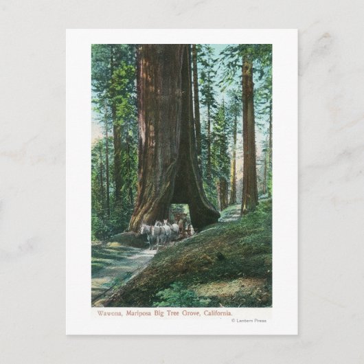 Uitzicht van het vervoer van paarden onder de Wawo Briefkaart (Voorkant)