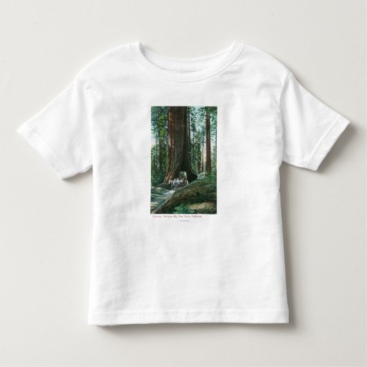 Uitzicht van het vervoer van paarden onder de Wawo Kinder Shirts (Voorkant)