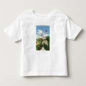 Uitzicht van het vlaggenbekken en de zuidwand kinder shirts (Voorkant)
