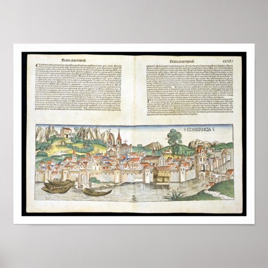 Uitzicht van het vogeloog van de Neurenberg Ch Poster (Voorkant)