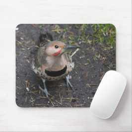 Uitzicht van het vogeloog van het noordelijke vlie muismat