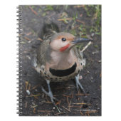 Uitzicht van het vogeloog van het noordelijke vlie notitieboek (Voorkant)