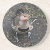 Uitzicht van het vogeloog van het noordelijke vlie zandsteen onderzetter (Voorkant)