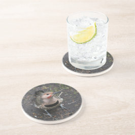 Uitzicht van het vogeloog van het noordelijke vlie zandsteen onderzetter