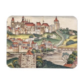 Uitzicht van het vogeloog van Praag van de Neurenb Magneet (Horizontaal)