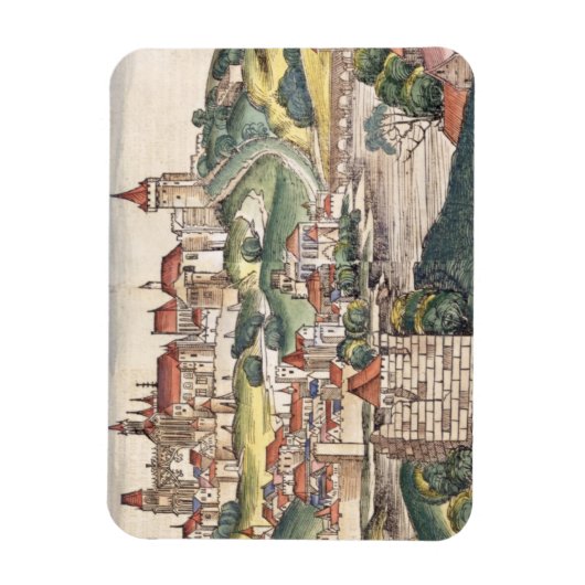 Uitzicht van het vogeloog van Praag van de Neurenb Magneet (Verticaal)