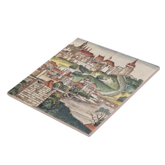 Uitzicht van het vogeloog van Praag van de Neurenb Tegeltje (Zijkant)