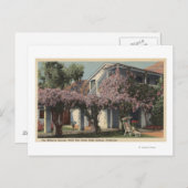 Uitzicht van het Wisteria Pergola, Oasis Hotel Briefkaart (Voorkant / Achterkant)